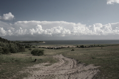 Killikus&reg; Fotographie